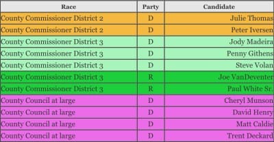 Election 2024 | 4 contested races in Monroe County primaries: 1 council at-large, 3 commissioner