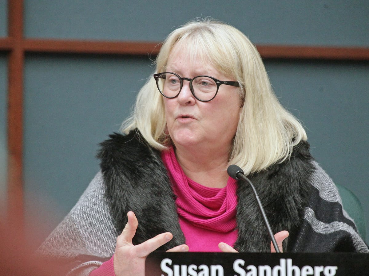 2019 Bloomington General | At-Large Council Candidate: Susan Sandberg