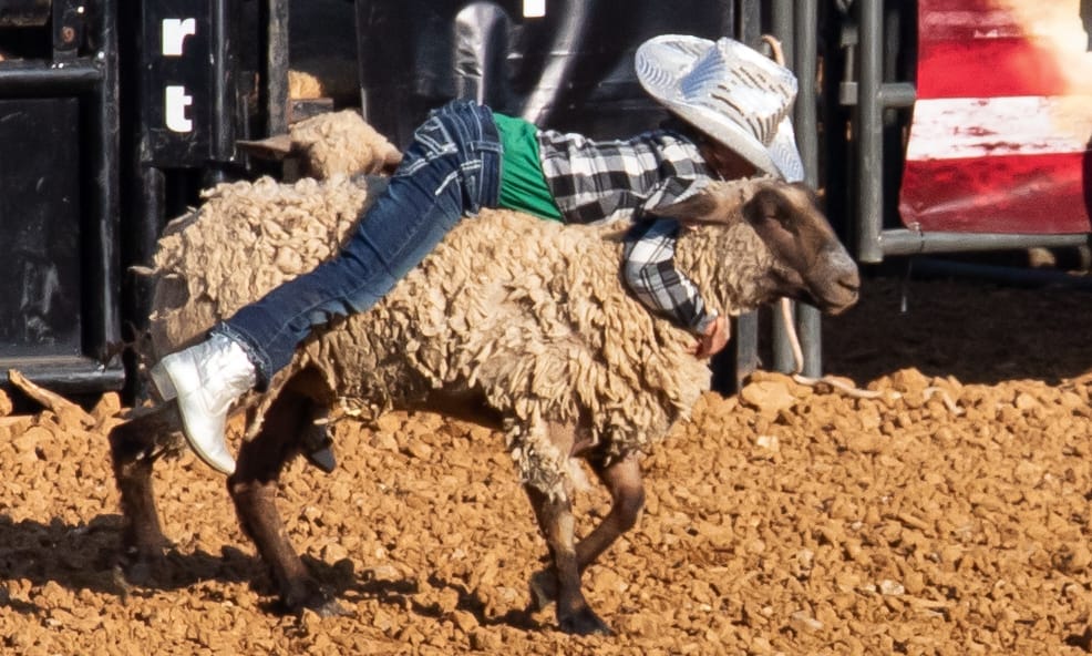 Photos: Monroe County fair rodeo