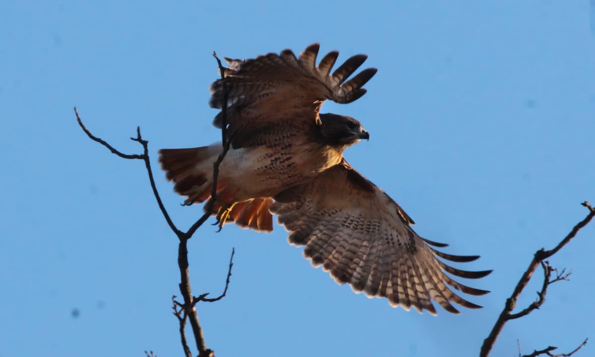 6th Street & Lincoln Street