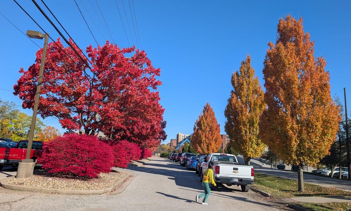 B-Line Trail at 3rd Street