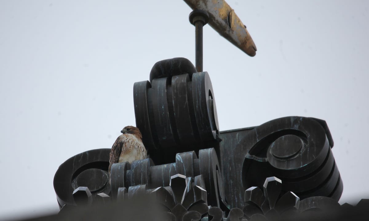 Monroe County historic courthouse