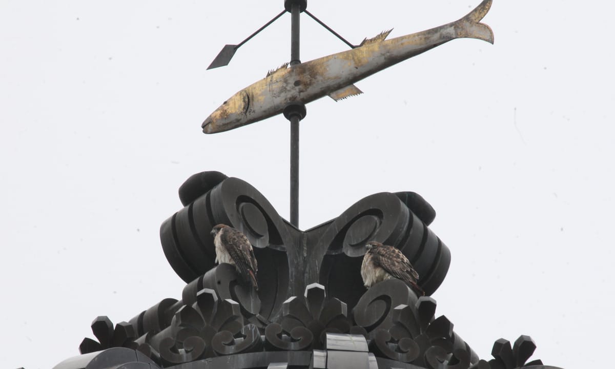 Monroe County historic courthouse