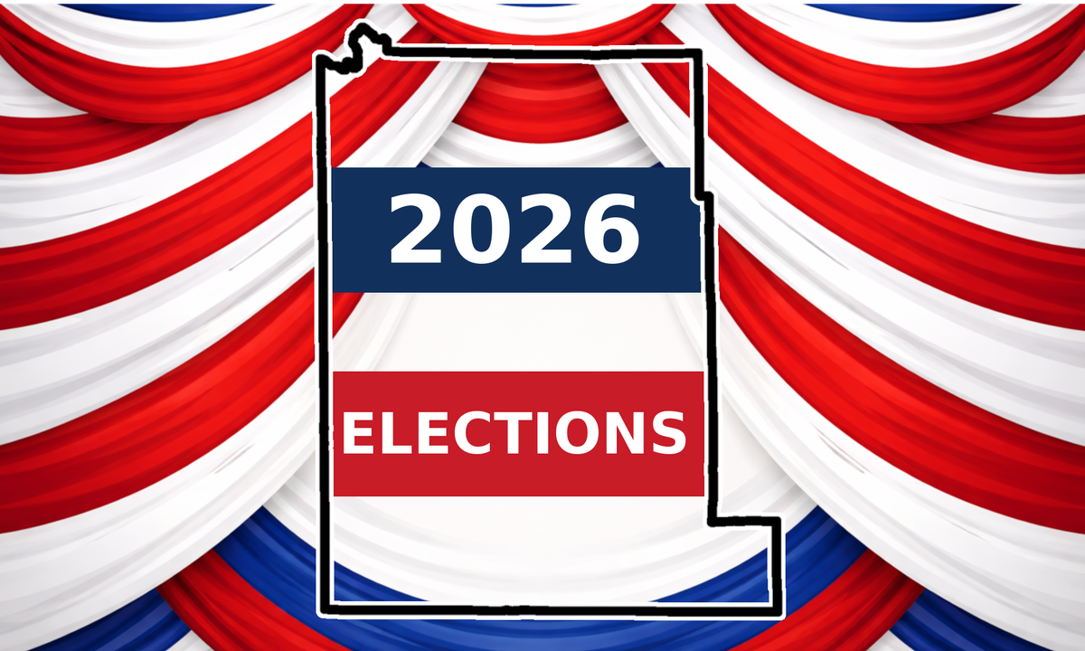 Election 2026: Contested local primaries, some November matchups take shape across Monroe County