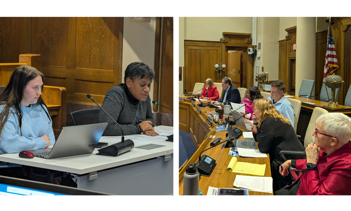 Monroe County council to clerk: Run ‘robust’ primaries, request more money to cover general