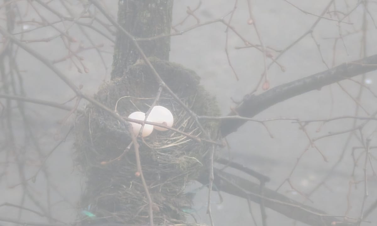 6th Street & Walnut Street