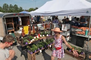 Consequence of farmers market closure: Extra $50 permit from county health department for alternate locations