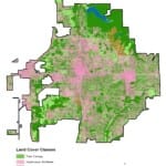New tree study for Bloomington measures canopy at 38 percent, climate strikers demand 60 percent