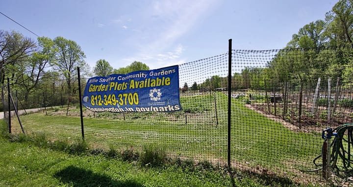 Column: Turning budget compost, instead of planting seeds, hoping they’ll grow