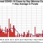 Monroe County like rest of state: Bump in COVID-19 numbers somewhat outpaces testing; deaths, hospitalizations declining