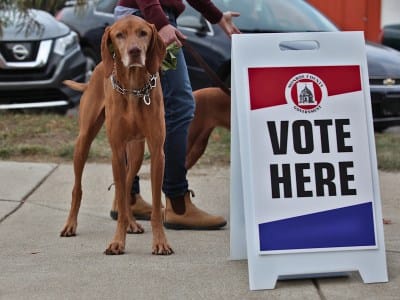 Candidate 2022 Candidate roundup with less than a week left: 4 contested primaries for county Dems