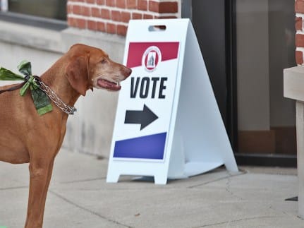 Electioneering case at polls leaves board wondering: Who was that masked man?