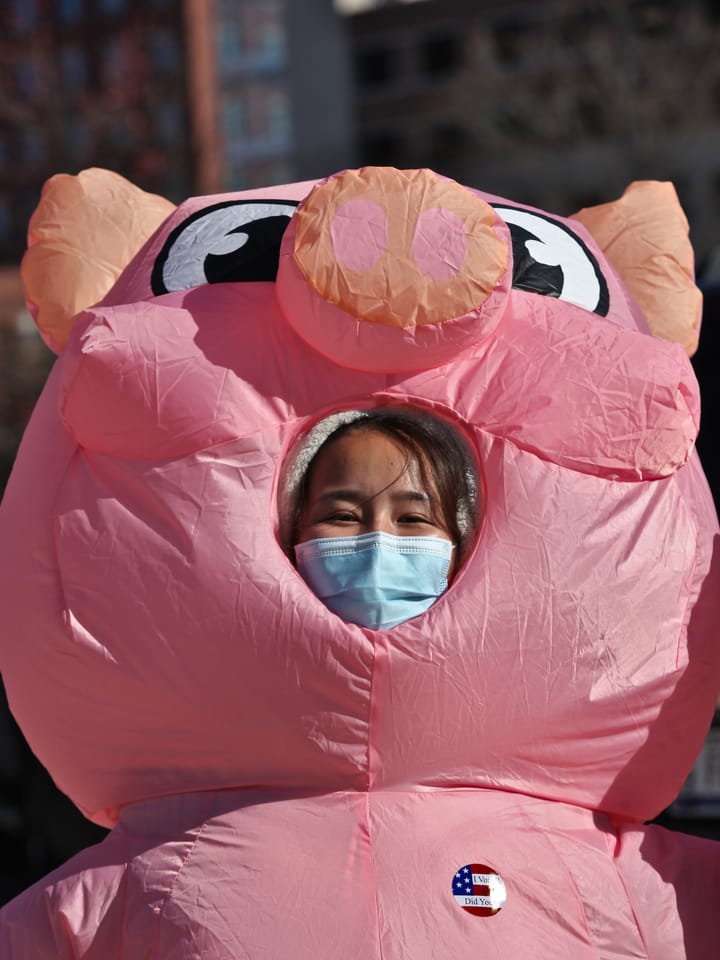 Halloween early in-person voter tally: 1,149 Monroe County residents, 1 pink pig