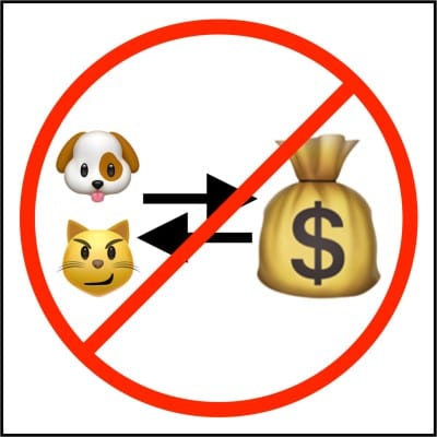 No more pet store sale of dogs or cats in Bloomington, starting Jan. 1, 2023