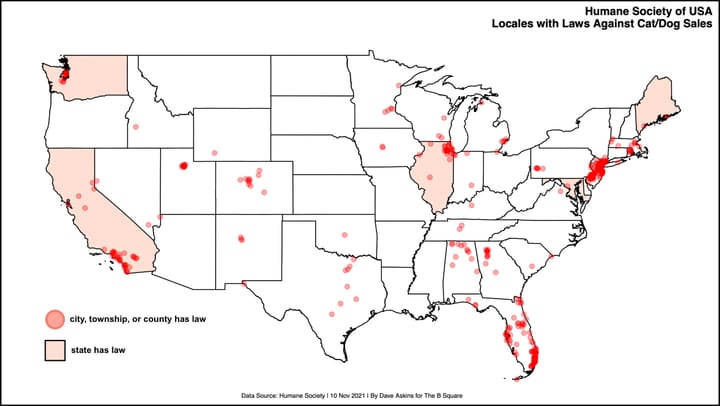 Possible new Bloomington law banning pet shop sale of cats, dogs would add to national momentum