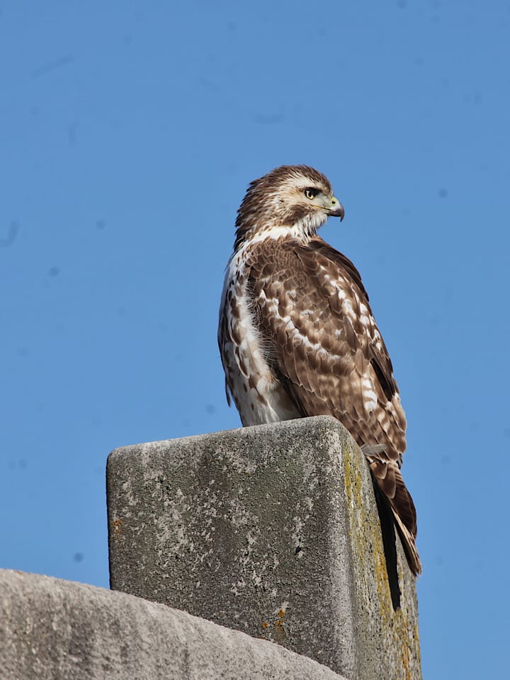 Miller-Showers Park: Bloomington utilities and parks formalizing arrangements on who pays for what