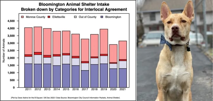 Animal accord for Bloomington, Monroe County, Ellettsville, gets routine OK from city council