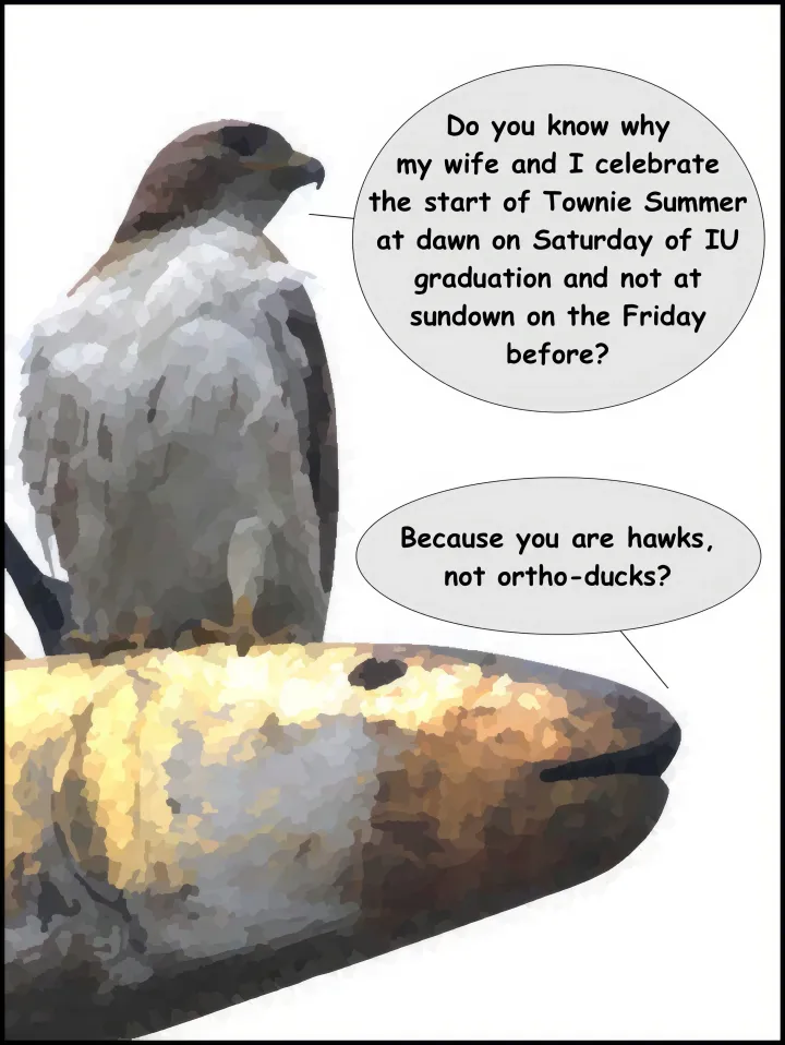 Sunday Funnies: Hawk v. Fish