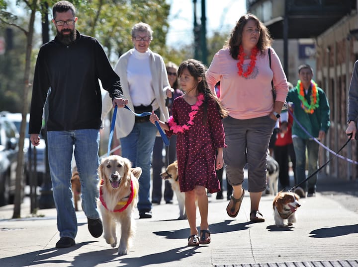 Jordy the courthouse dog hits half-decade mark, confirms he is a good boy