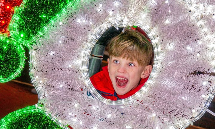 2025 Canopy of Lights!