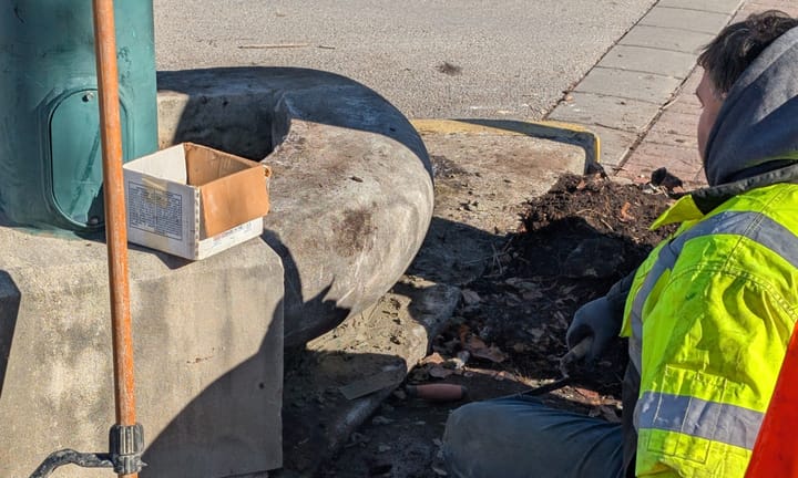 Grant Street & Kirkwood Avenue