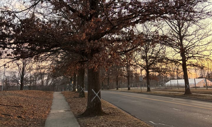 Pete Ellis Drive & East 10th Street