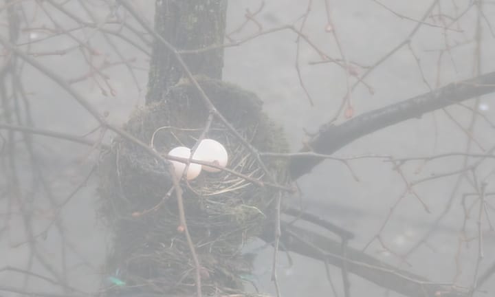 6th Street & Walnut Street